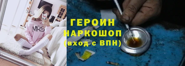 ешки Бородино