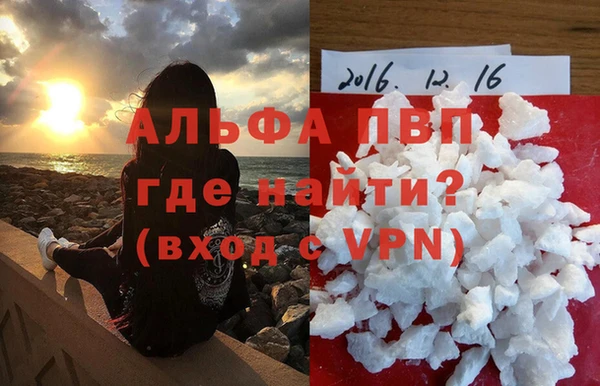 ешки Бородино