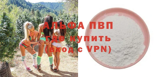 ешки Бородино