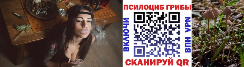Галлюциногенные грибы MAGIC MUSHROOMS  Владивосток 